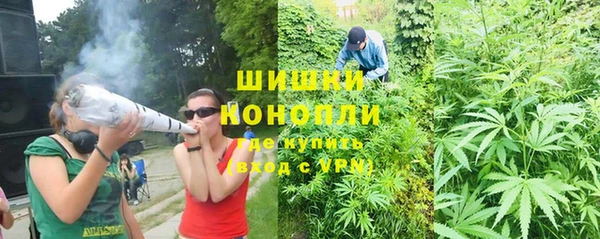 мдпв Касимов