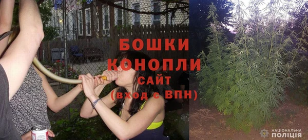 мдпв Касимов