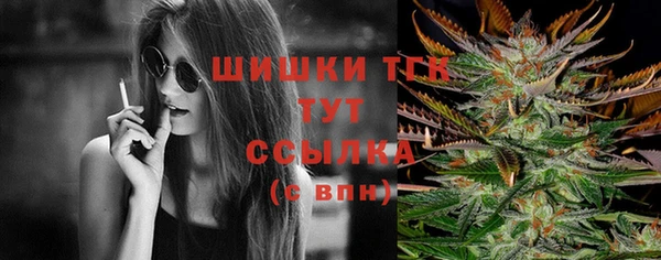 мдпв Касимов